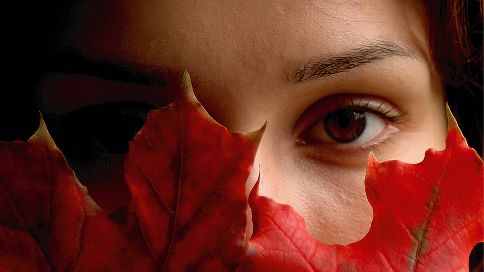 closeup photo of woman face covering it with maple leaf HD wallpaper