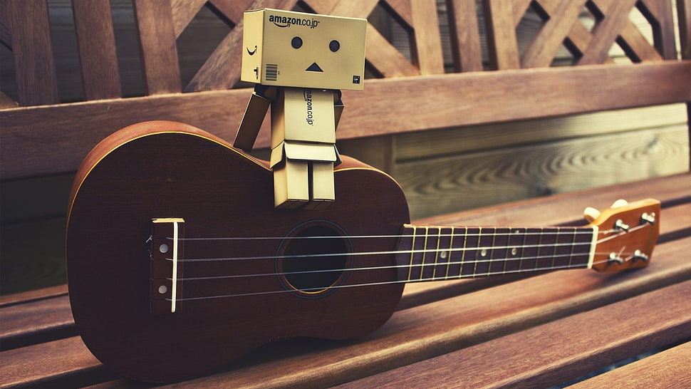 danbo on Ukulele HD wallpaper