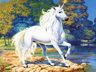 white unicorn illustration, fantasy art, unicorn