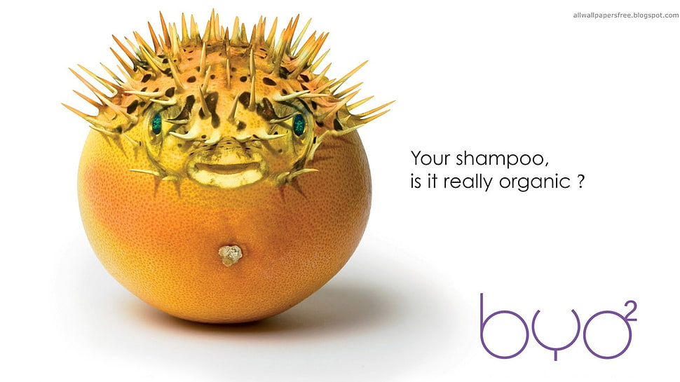 orange fruit, artwork, fruit HD wallpaper