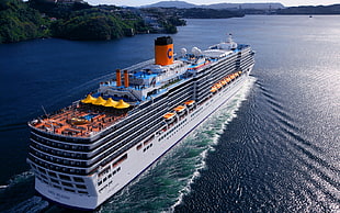 white cruise ship, cruise ship, vehicle, ship HD wallpaper