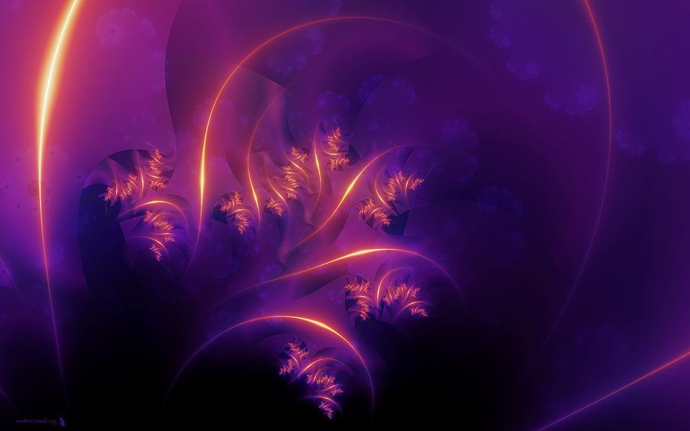 red and purple 3D wallpaper HD wallpaper