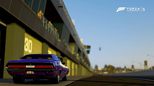 purple muscle car, Dodge, car, video games, Forza Motorsport HD wallpaper