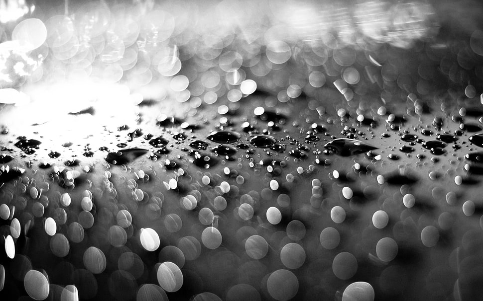 Surface,  Drops,  Moisture,  Light HD wallpaper