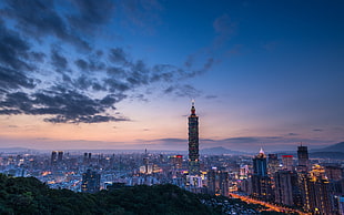 gray concrete building, cityscape, Taipei 101, building