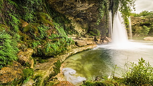 waterfalls surrounded with green plants digital wallpaper, nature, waterfall, landscape