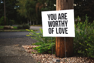 Your Are Worthy of Love quoted board
