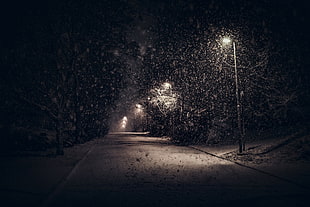 black street lights, landscape, nature, street light, snow