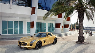 white and black convertible coupe, Dubai, Mercedes SLS, yellow cars, Mercedes Benz