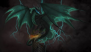 green and black dragon print textile, digital art, fantasy art, dragon, wings HD wallpaper