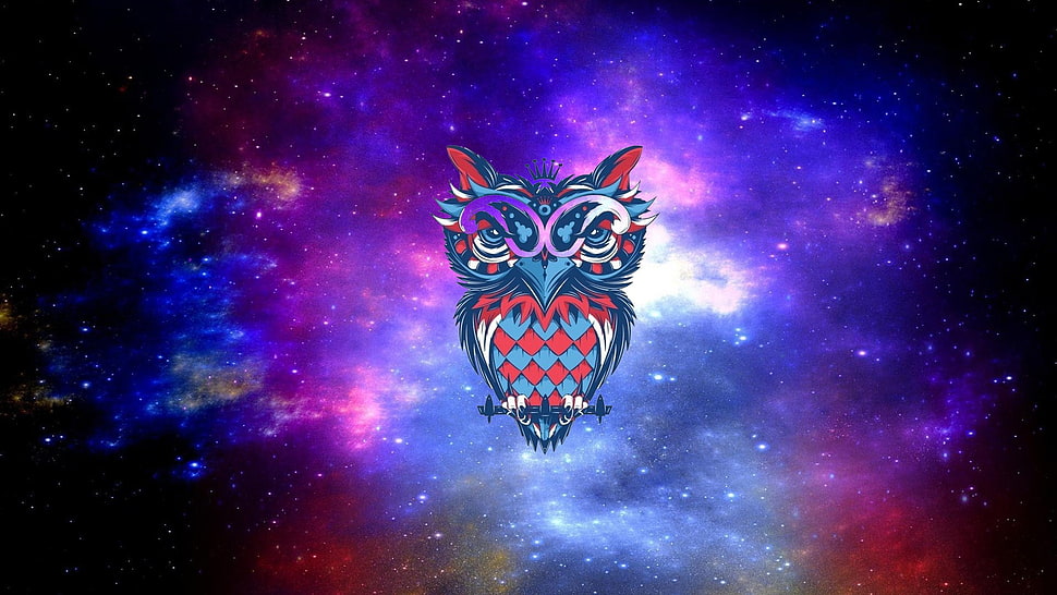 multicolored owl artwork, owl, drawing HD wallpaper