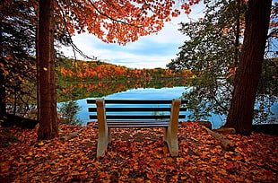 brown garden bench beside lake during daytime
