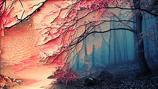 tree abstract painting, glitch art, sakura (tree), forest, trees HD wallpaper