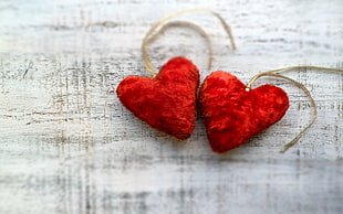 women's pair of red heart shaped earrings