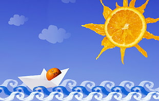 orange fruit sun colored illustration HD wallpaper