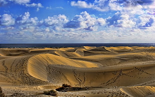 Sahara Desert landscape photo HD wallpaper