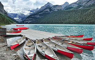 photo of canoes on dock HD wallpaper