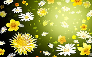 white and yellow flowers illustration