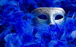 gray masquerade with feathers