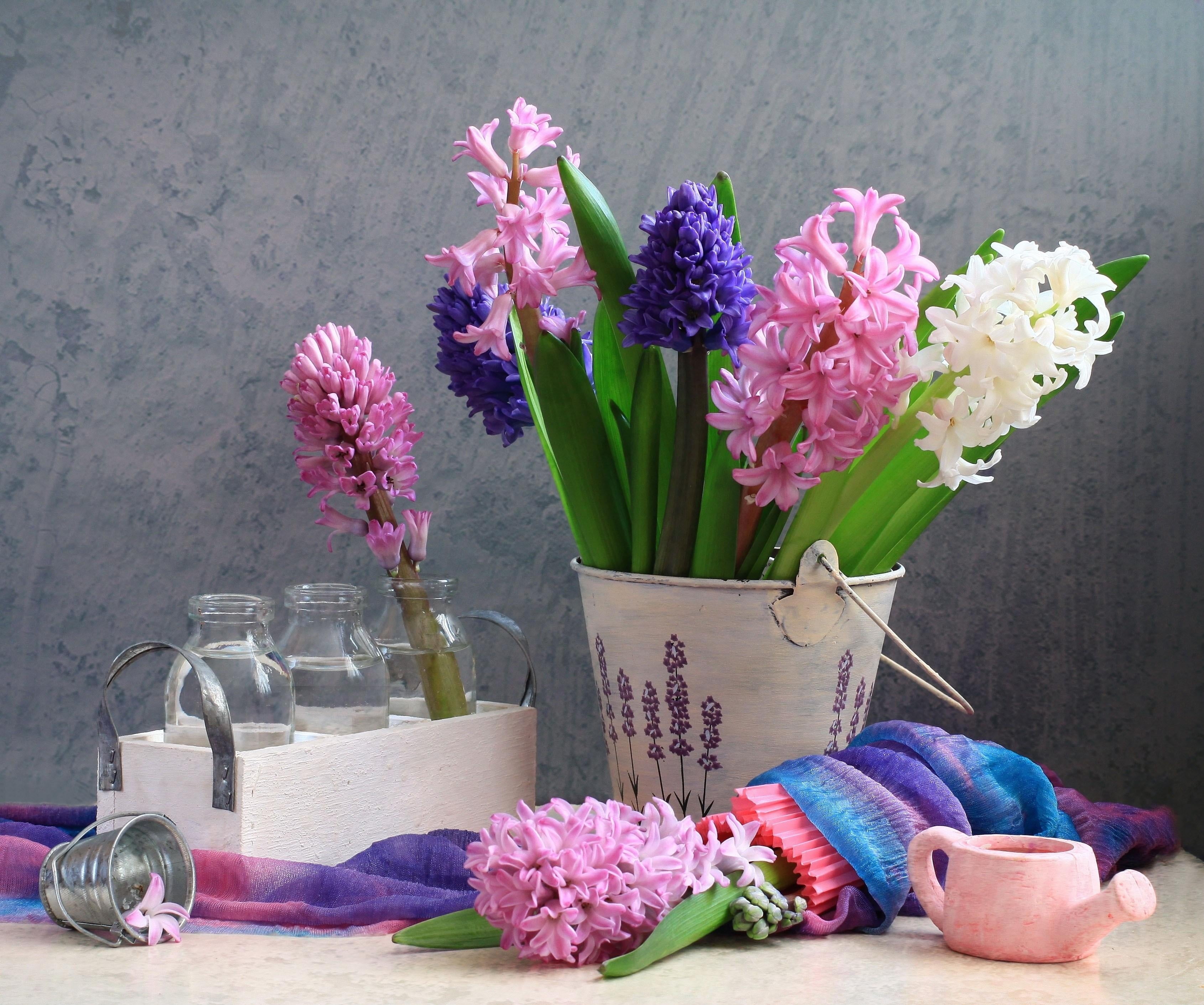 Hyacinths,  Flower,  Spring,  Bucket