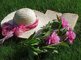sun hat with pink petaled flowers on rass HD wallpaper