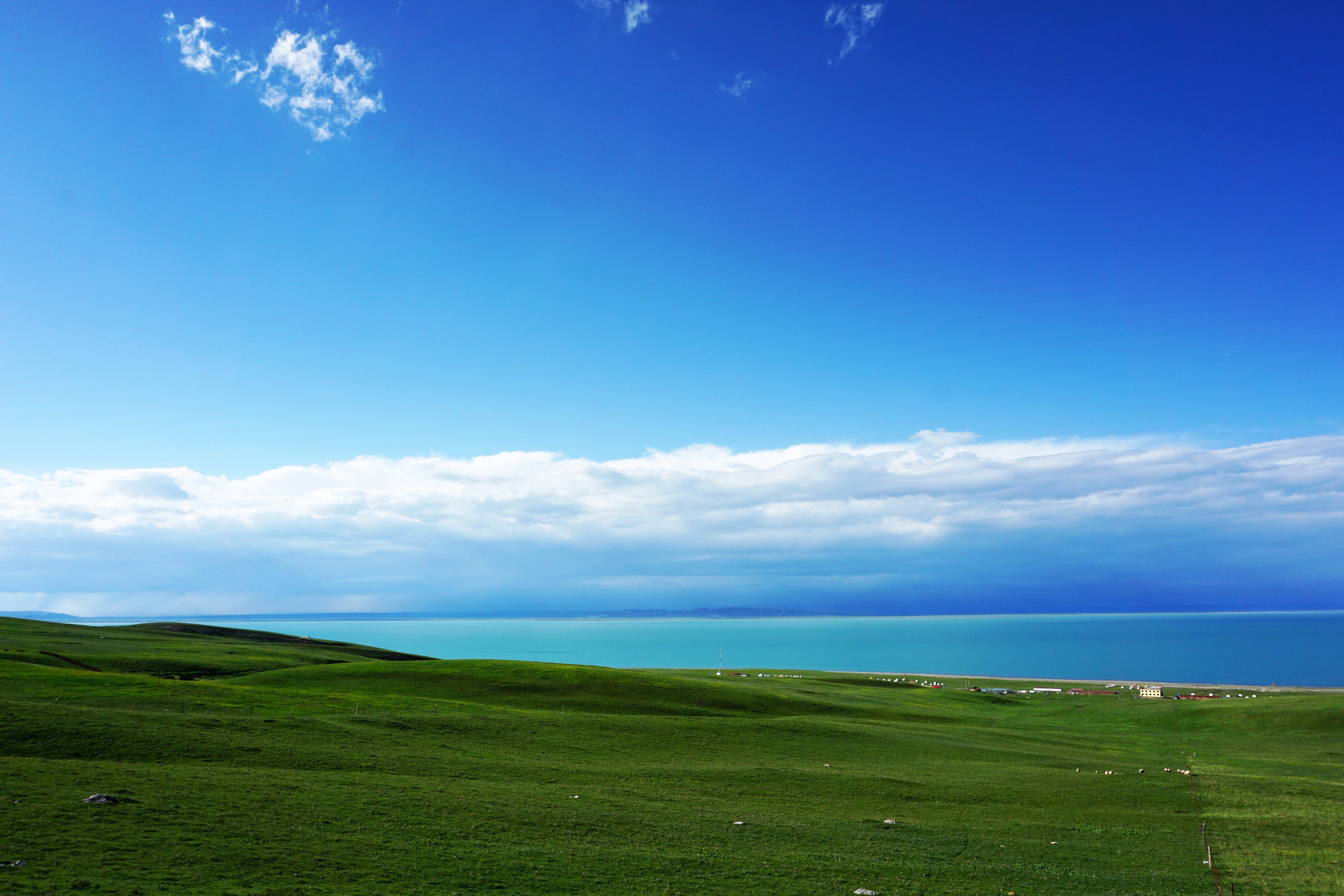 green grass field, grass, landscape, sky, nature