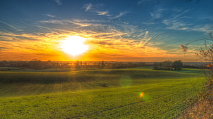 green open field, HDR, landscape, grass, sunset HD wallpaper