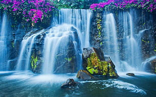 waterfall with flowers HD wallpaper