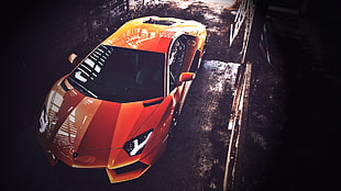 orange car illustration, Lamborghini, car, vehicle, digital art