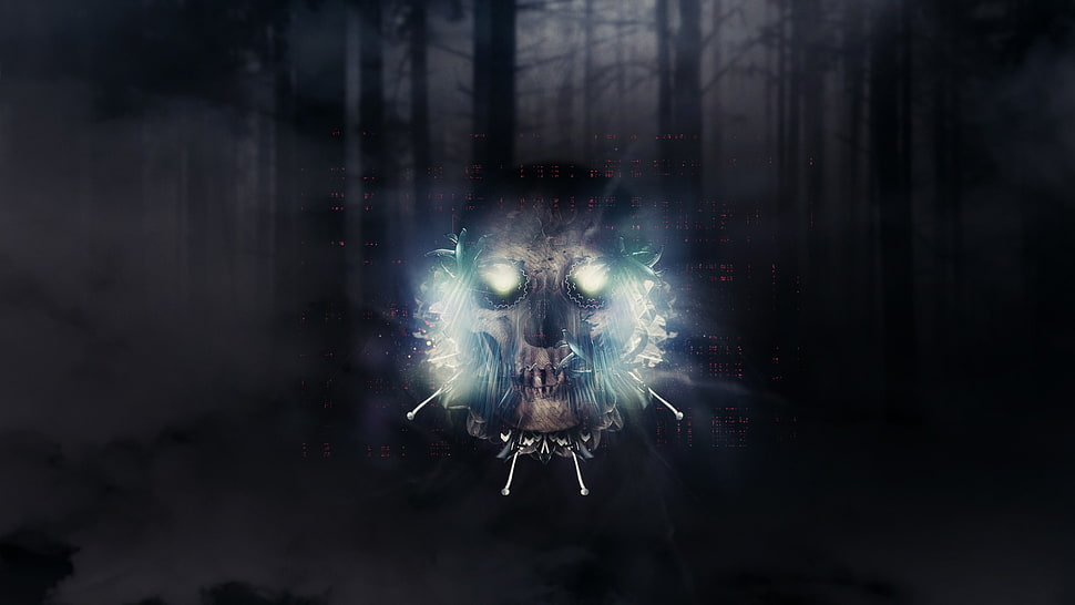 skull with forest background digital wallpaper, digital art, artwork, skull, abstract HD wallpaper