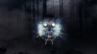 skull with forest background digital wallpaper, digital art, artwork, skull, abstract