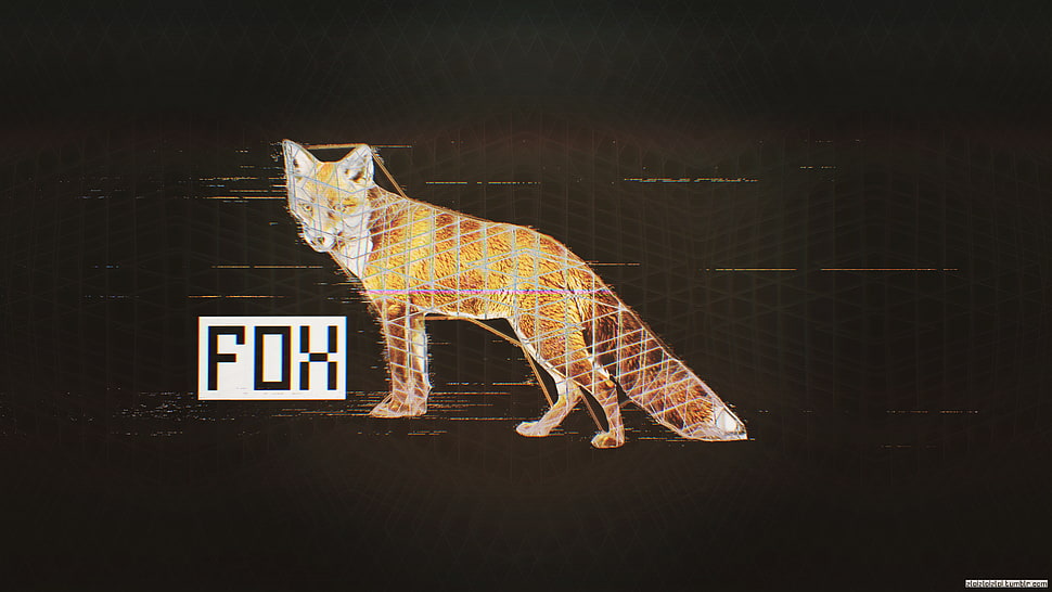 Fox digital wallpaper, glitch art, fox, black, abstract HD wallpaper