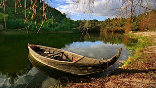 brown canoe, nature