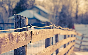 brown wooden fence, vintage, winter, fence, depth of field HD wallpaper