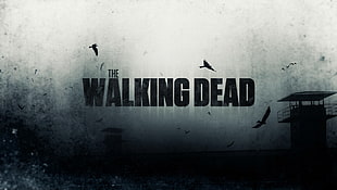 The Walking Dead poster, The Walking Dead HD wallpaper