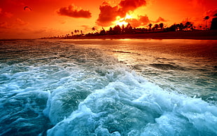 ocean wave near island during sunset