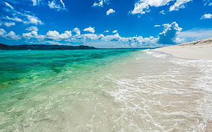 green body of water, beach, nature, landscape, Virgin Islands