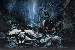 white wolf with wings digital wallpaper, wolf, snow, angel, demon