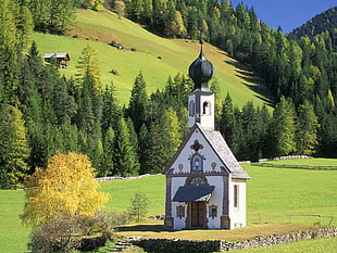 white concrete chapel surrounding trees near mountain hill during daytime