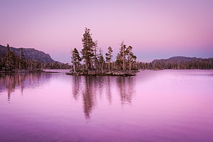 panoramic photography of island with green trees under purple skies HD wallpaper