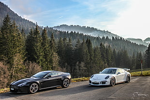 two black and white coupes, car, Porsche, Porsche 911 GT3, Aston Martin HD wallpaper