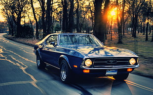 car travelling during golden hour HD wallpaper