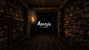 Amnesia text, Amnesia: The Dark Descent, Frictional Games, video games, horror