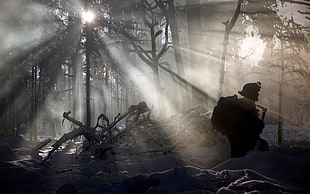 silhouette of man, forest, soldier, military, sun rays