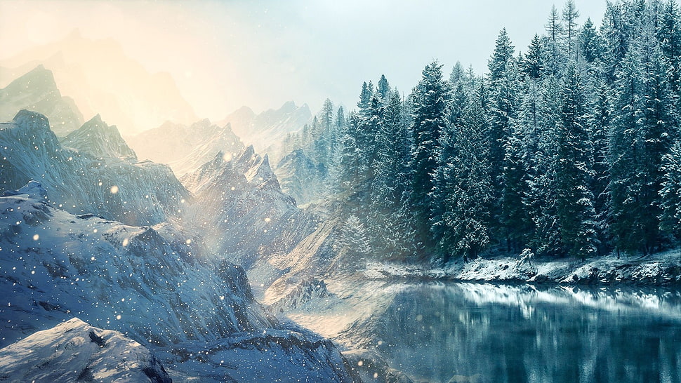 green pine tree, nature, snow, lake, trees HD wallpaper
