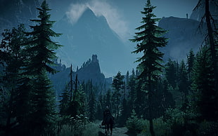 green trees near mountain digital wallpaper, The Witcher 3: Wild Hunt, Cirilla Fiona Elen Riannon, The Witcher, video games HD wallpaper