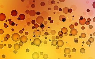 yellow and black polka dot design