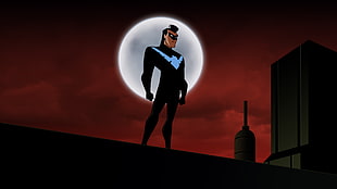 Nightwing digital wallpaper, Nightwing, DC Comics, Warner Brothers, Batman: The Animated Series