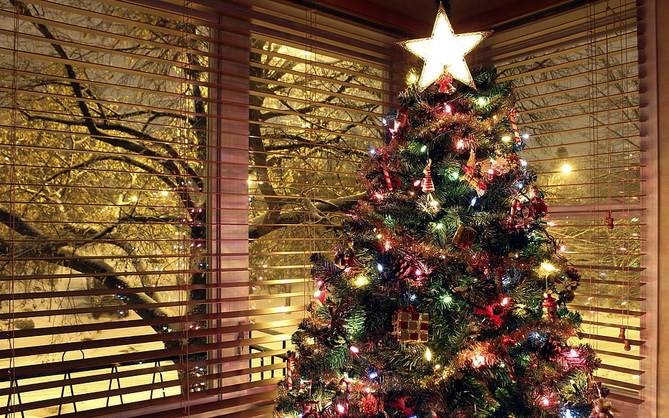 green and red Christmas tree, christmas lights, Christmas ornaments , trees HD wallpaper