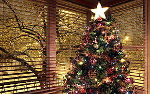 green and red Christmas tree, christmas lights, Christmas ornaments , trees